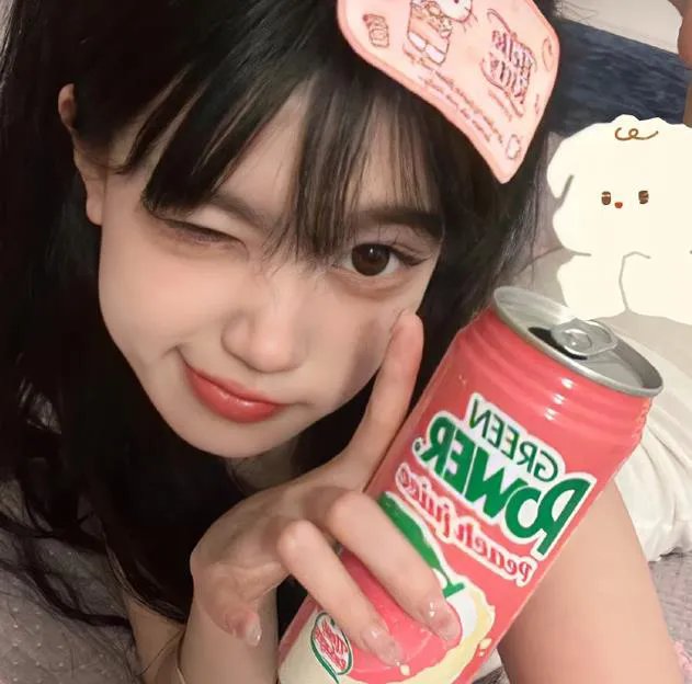 有猫的迷宫