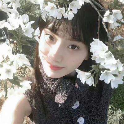 与狼共谋